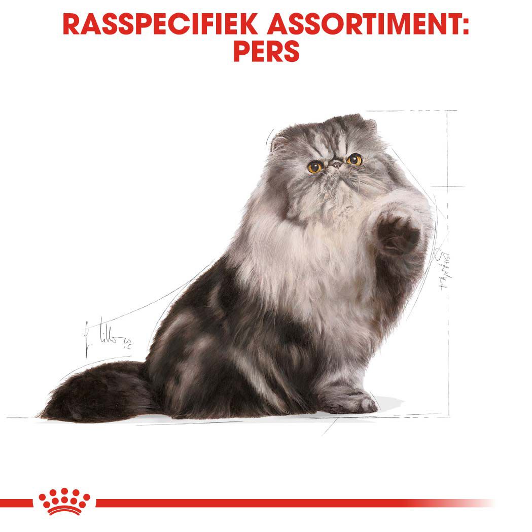 Royal Canin Persian Adult - Kattenvoer - 2 - Gevogelte