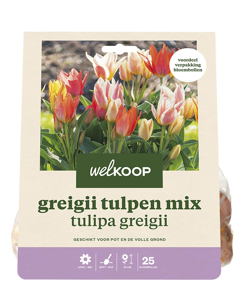 Welkoop Tulpen mix Jacqeline - Bloembollen Welkoop Tulpen mix Jacqeline - Bloembollen