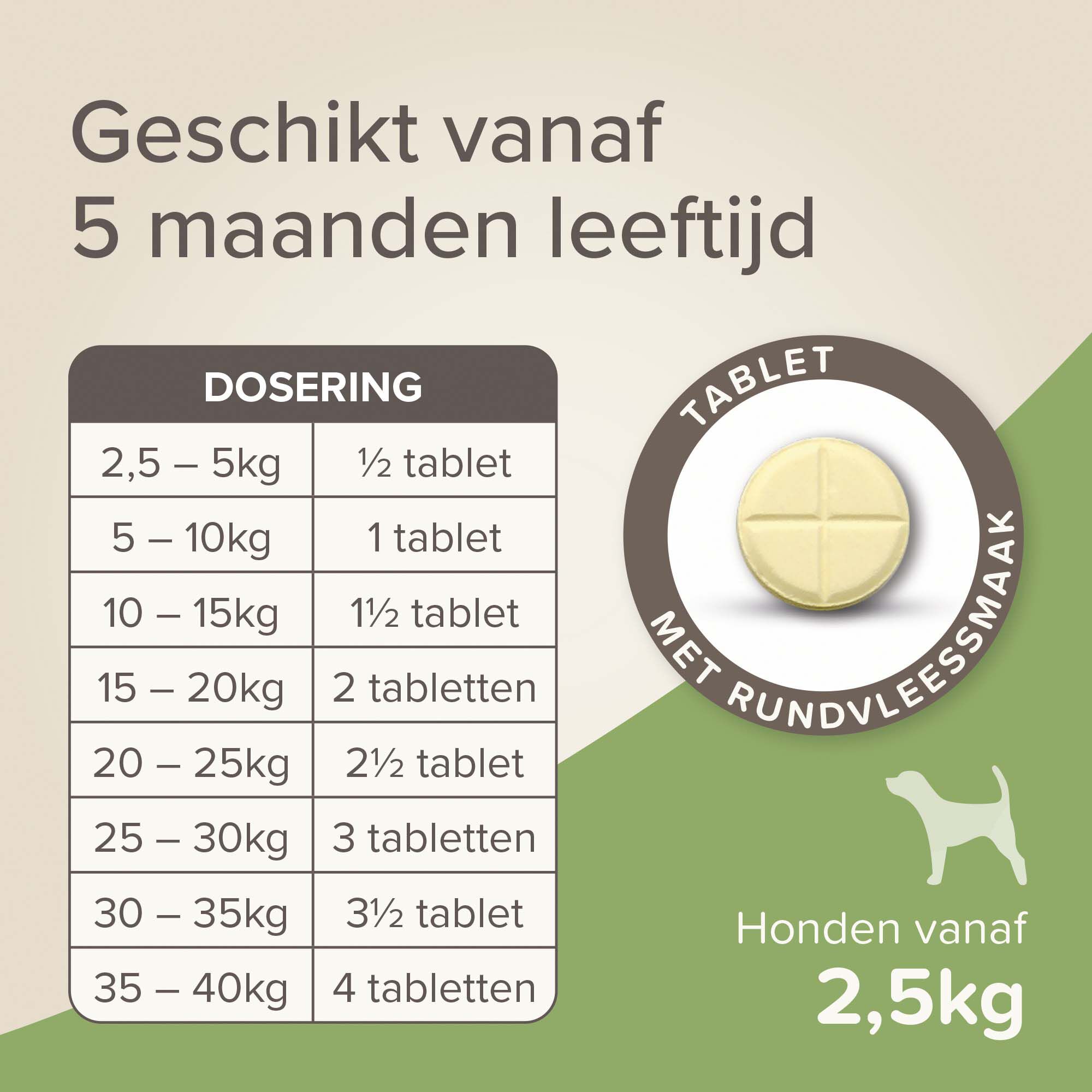 Beaphar All-in-one Tabletten - Ontwormen Hond - S/M