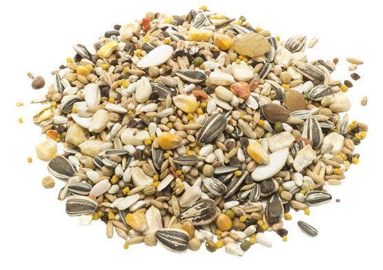 Welkoop Papegaaivoer Compleet - Vogelvoer - 750