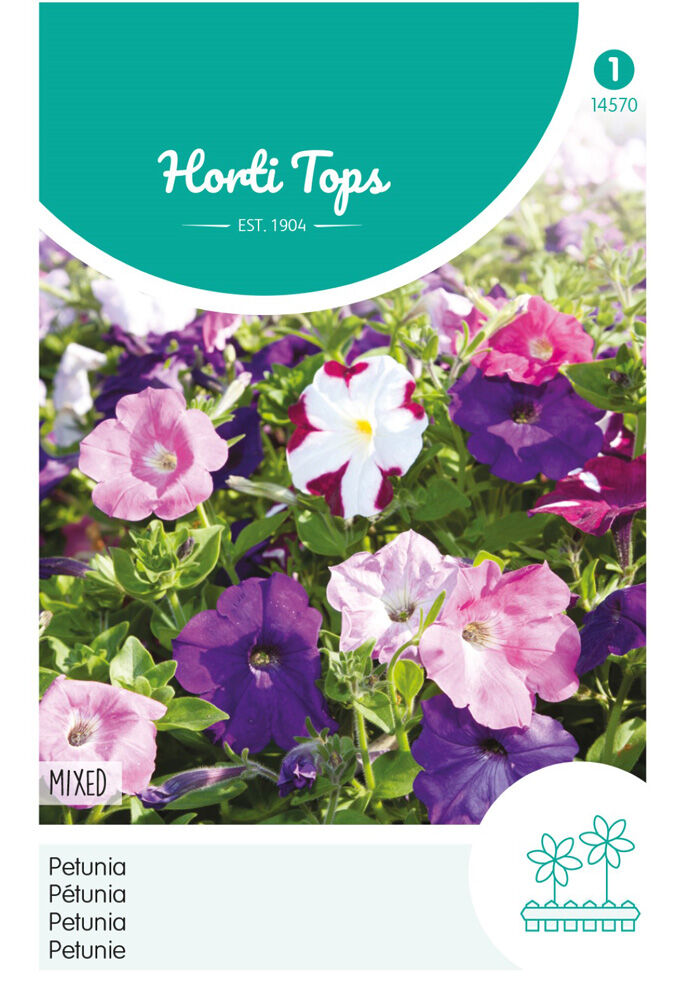 Hortitops Petunia Laag Gemengd - Bloemzaden Hortitops Petunia Laag Gemengd - Bloemzaden