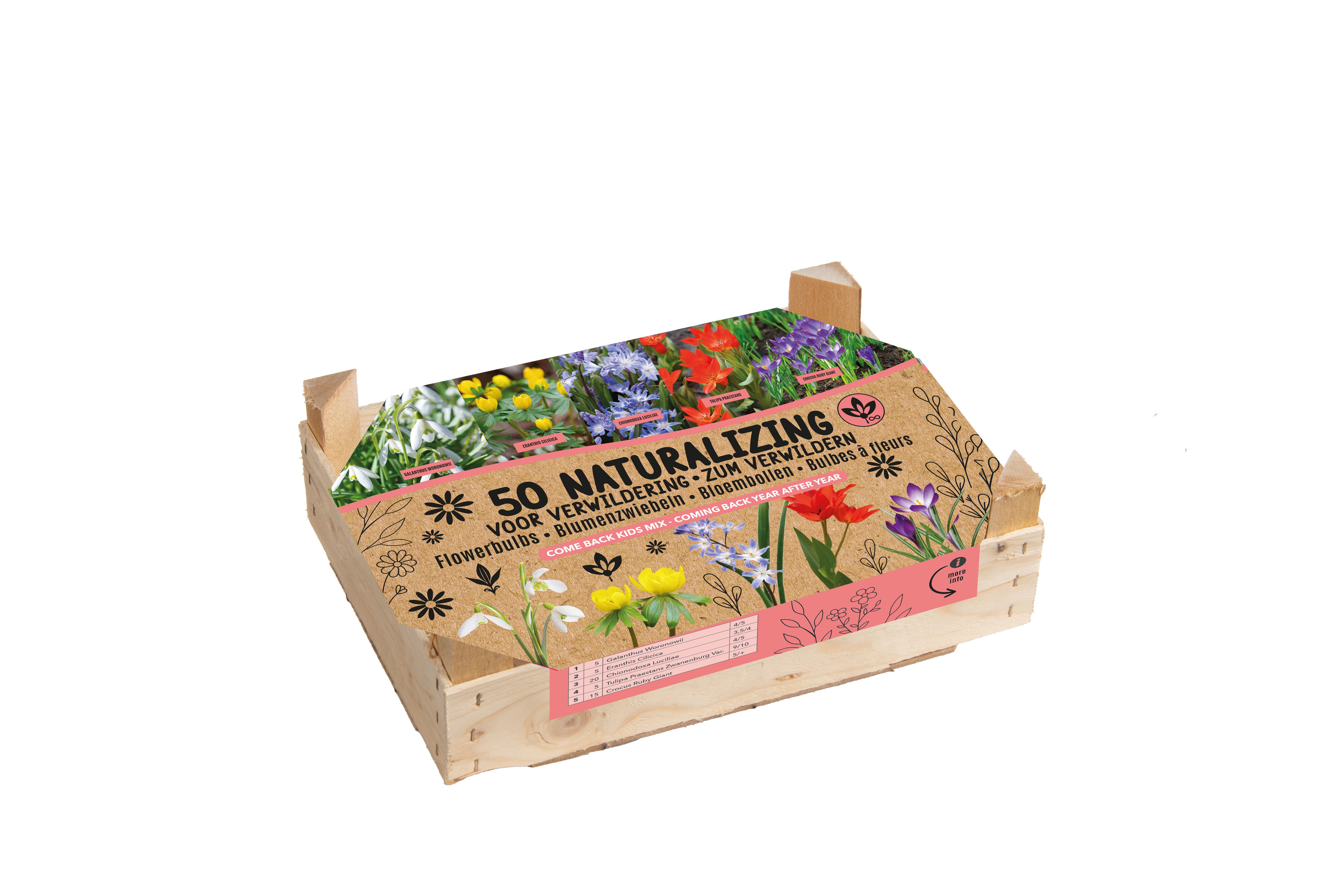 Florex Bloembollen mix - in Kistje