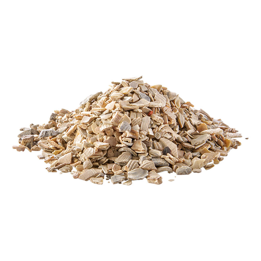 Welkoop Kippengrit - Kippen Supplement - 45.00 cm - 10.00 - 29.00 cm - 10.00 cm