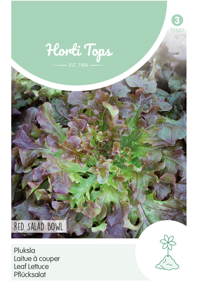 Hortitops Eikenbladsla Lactuca sativa Red Salad Bowl - Sla Hortitops Eikenbladsla Lactuca sativa Red Salad Bowl - Sla