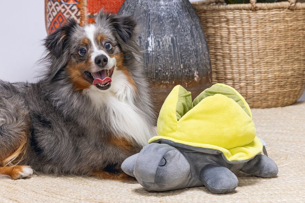 Beeztees Hide and Seek Schildo - Snuffelmat - Hondenspeelgoed - 15x24x30 cm