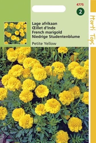 Hortitops Lage Afrikaan Petite Yellow - Bloemzaden Hortitops Lage Afrikaan Petite Yellow - Bloemzaden