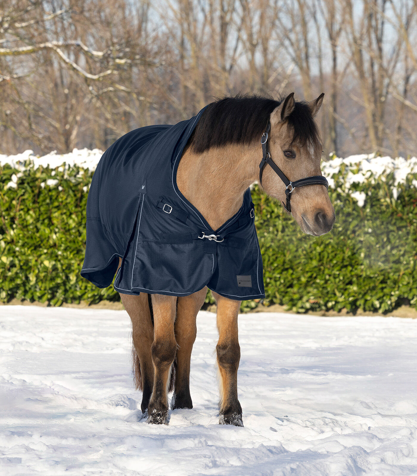 Waldhausen Scandic Hoge nek 200 gr - Winterdeken - Paardendeken - 1.00 cm - Blauw - 1.00 cm - 125/175 - 1.00 cm