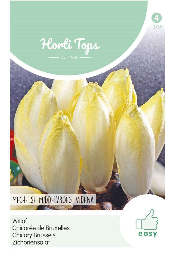 Hortitops Witlof Mechelse Videna - Groentezaden - 2,5 gram Hortitops Witlof Mechelse Videna - Groentezaden - 2,5 gram