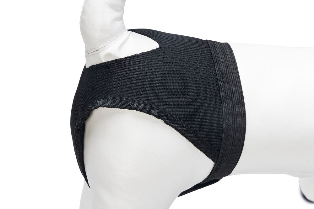 Beeztees - Loopsheidbroekje - Hond - 23.50 cm - Zwart - 11.00 cm - L - 1.50 cm