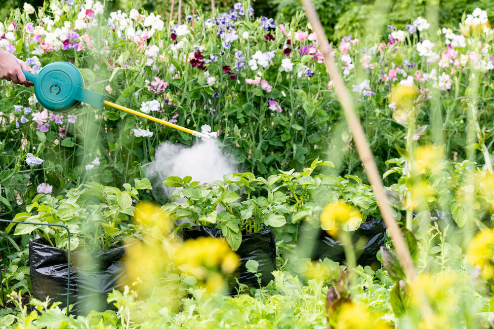 DCM Naturapy Poederverstuiver - Poederverstuiver