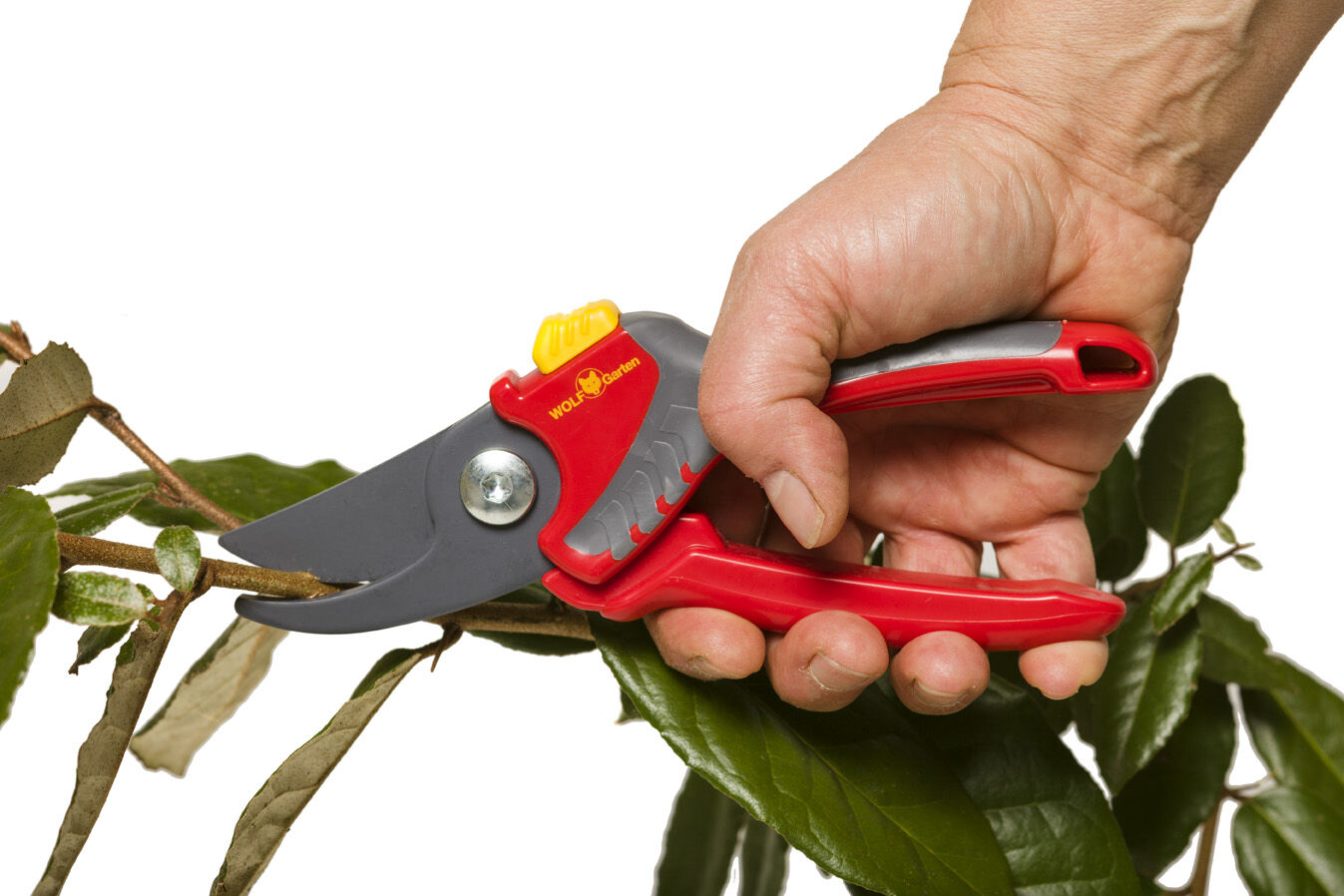 WOLF-Garten RR 2500 Comfort Plus - Snoeischaar