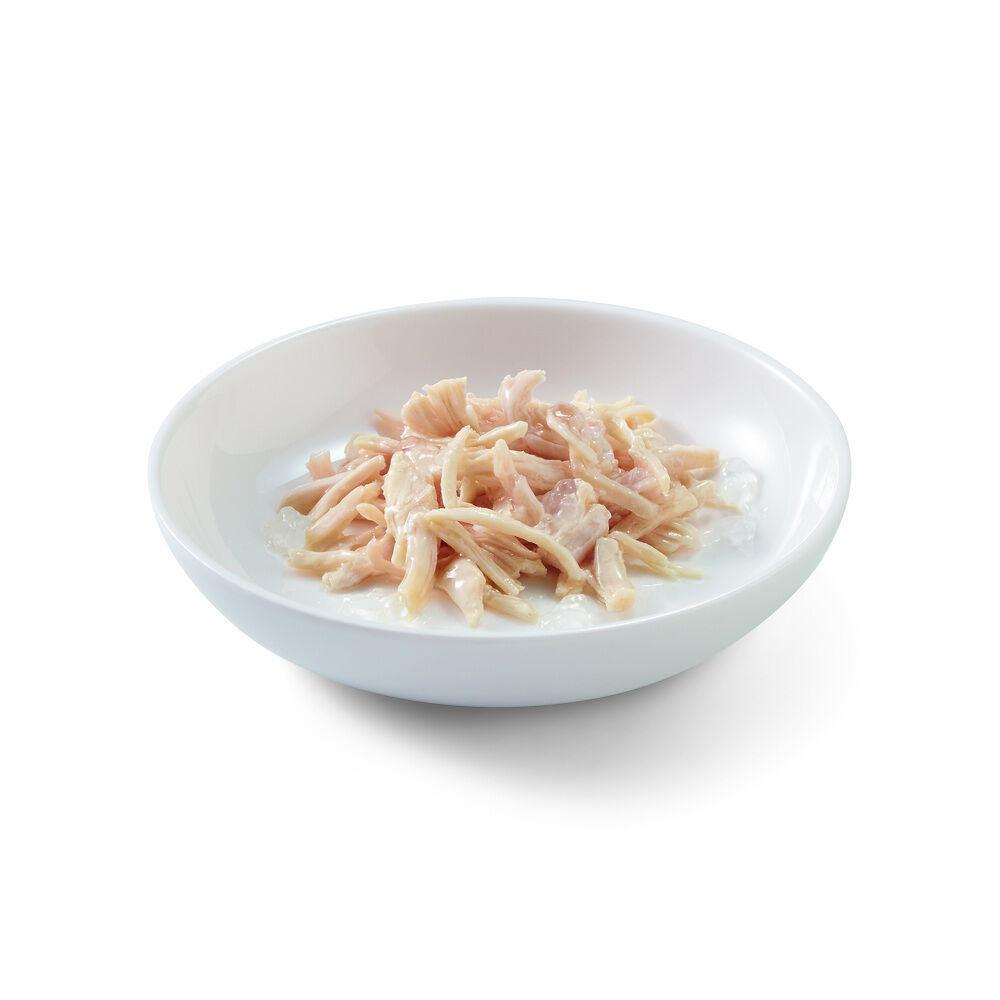 Schesir - Kattenvoer in Gelei - 85 - kip, fillet