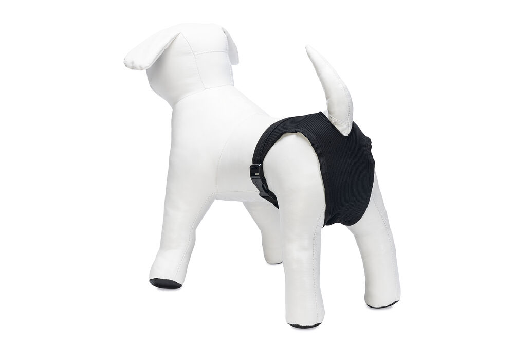 Beeztees - Loopsheidbroekje - Hond - Zwart - XS