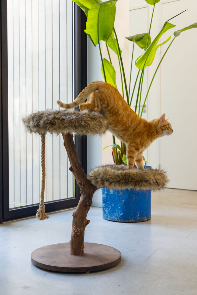 Designed by Lotte Aviva - Krabmeubel - Bruin
