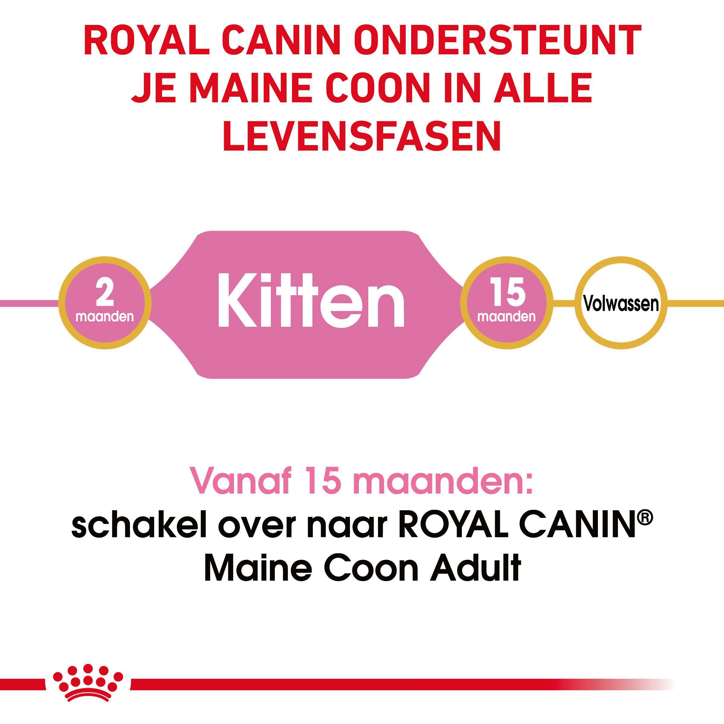 Royal Canin Maine Coon Kitten - Kattenvoer - 2 - Gevogelte