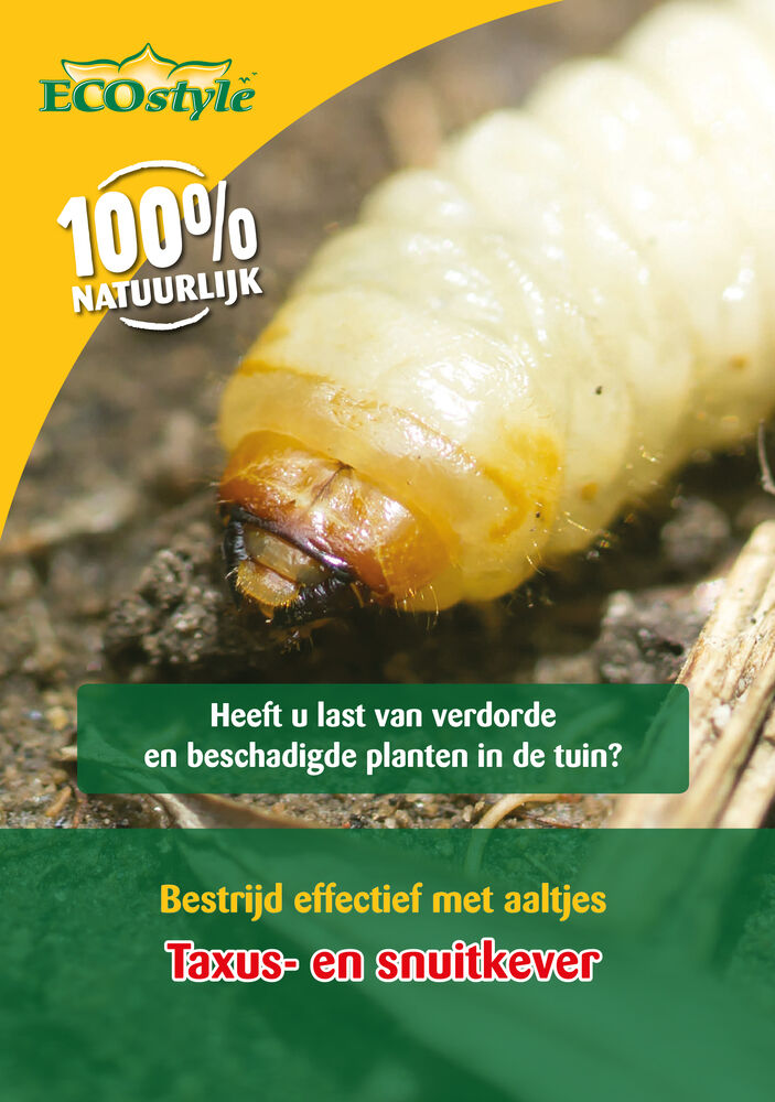 ECOstyle - tegen larven taxuskever ECOstyle - tegen larven taxuskever