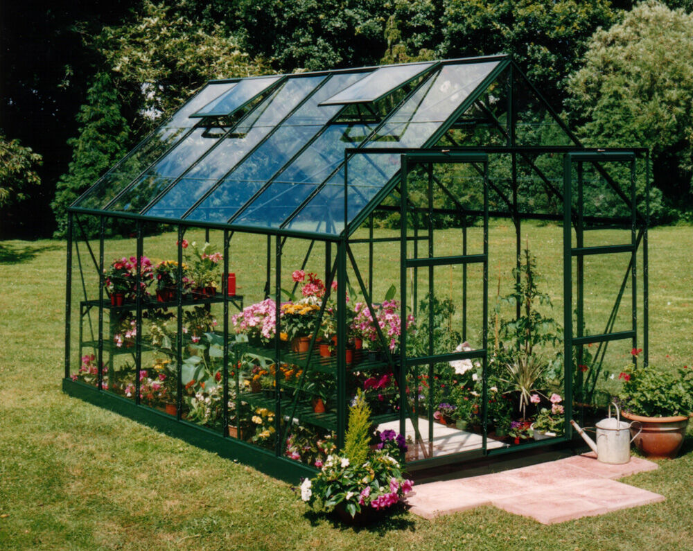 Halls Magnum 128 - Tuinkas - 258.00 cm - Groen - Veiligheidsglas - 257.00 cm - 384.00 cm
