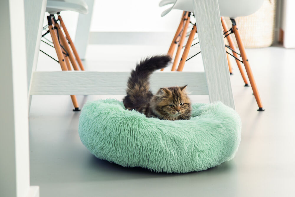 Beeztees Vako Pluche - Kattenmand - 18.00 cm - Blauw mint - 50.00 cm - 50.00 cm - 50.00 cm