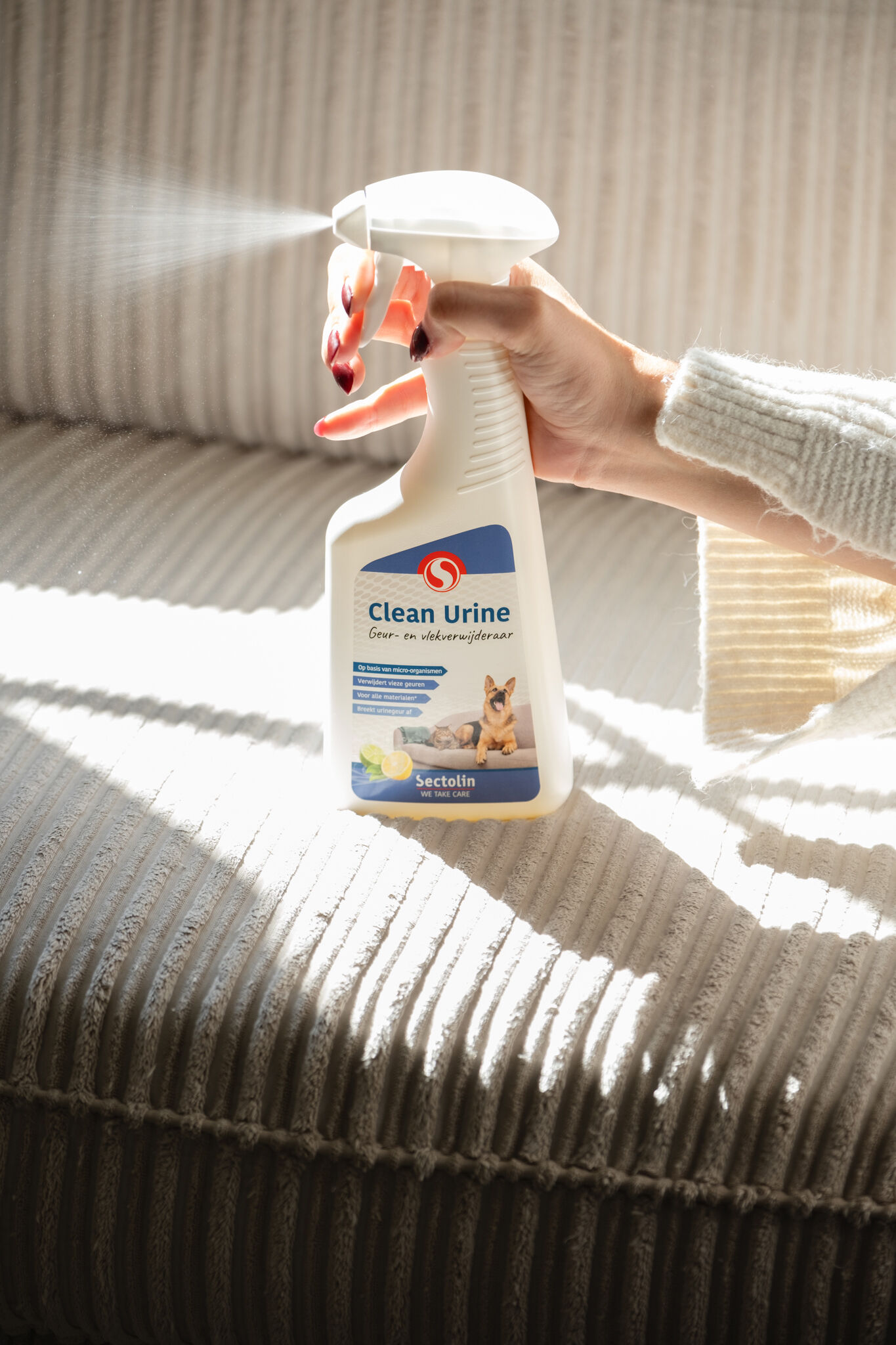 Sectolin Clean Urine - Geur en vlekverwijderaar Urinegeur Hond Sectolin Clean Urine - Geur en vlekverwijderaar Urinegeur Hond