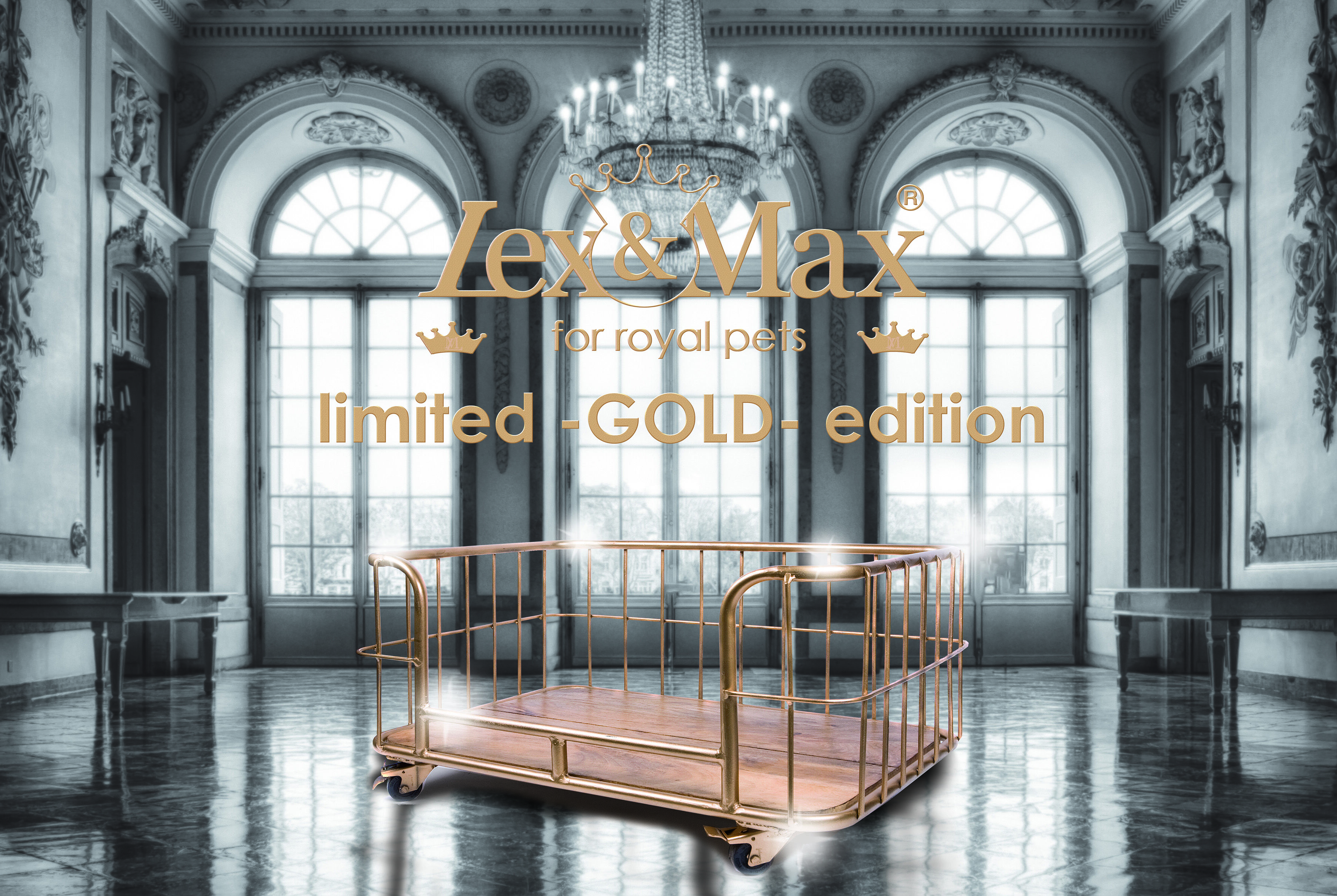 Lex & Max Metal Wire Basket  - Divan - Hondenbench meubel - Goud - 46x90x67 cm