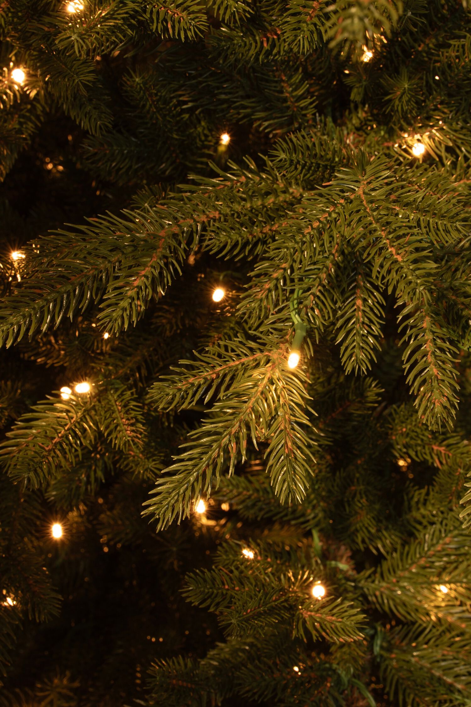 Black Box Meran - Kunstkerstboom - 264 - 185 cm - Groen