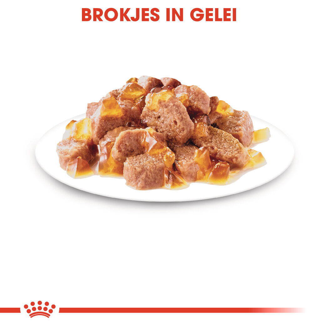 Royal Canin Sterilised Pouch - Kattenvoer - 1020