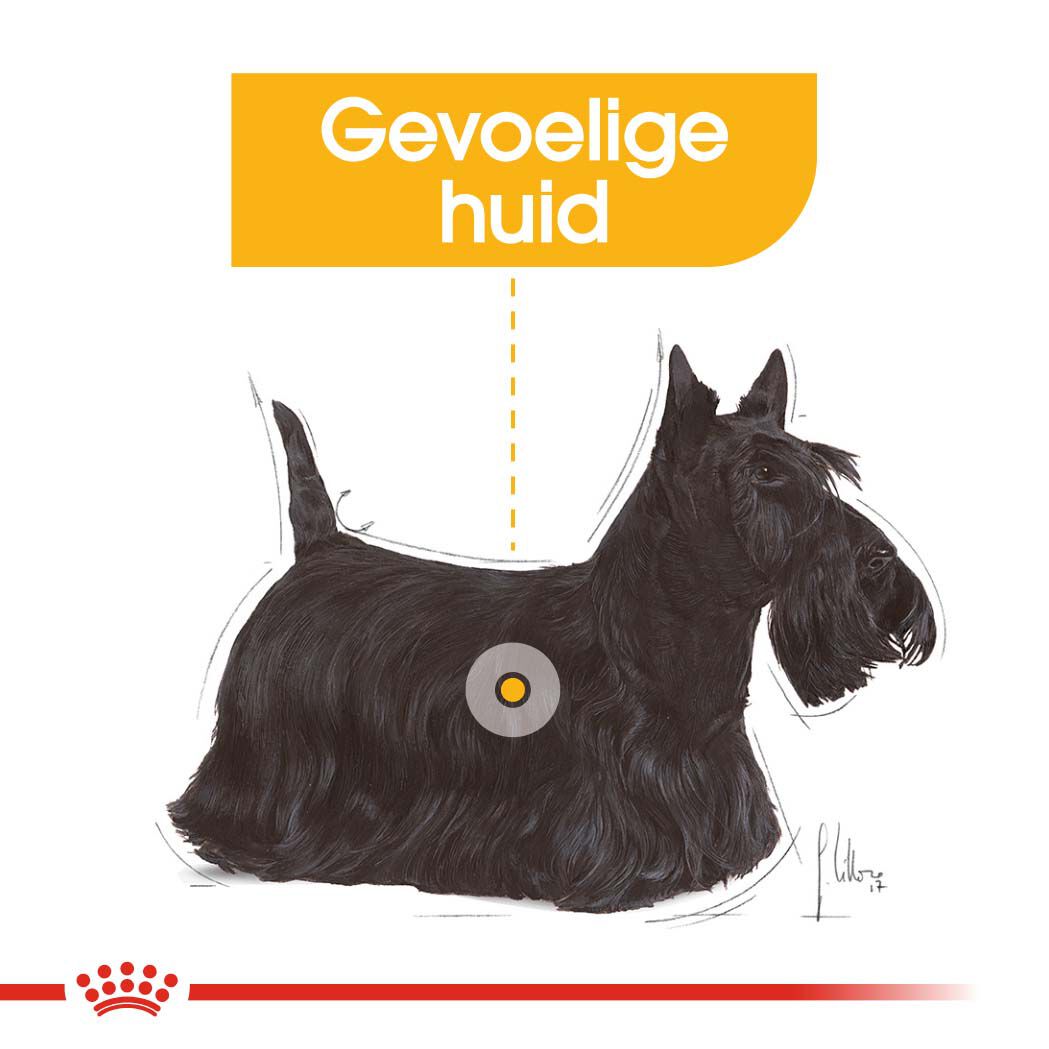 Royal Canin Dermacomfort Wet - Hondenvoer - 1020 - gevogelte