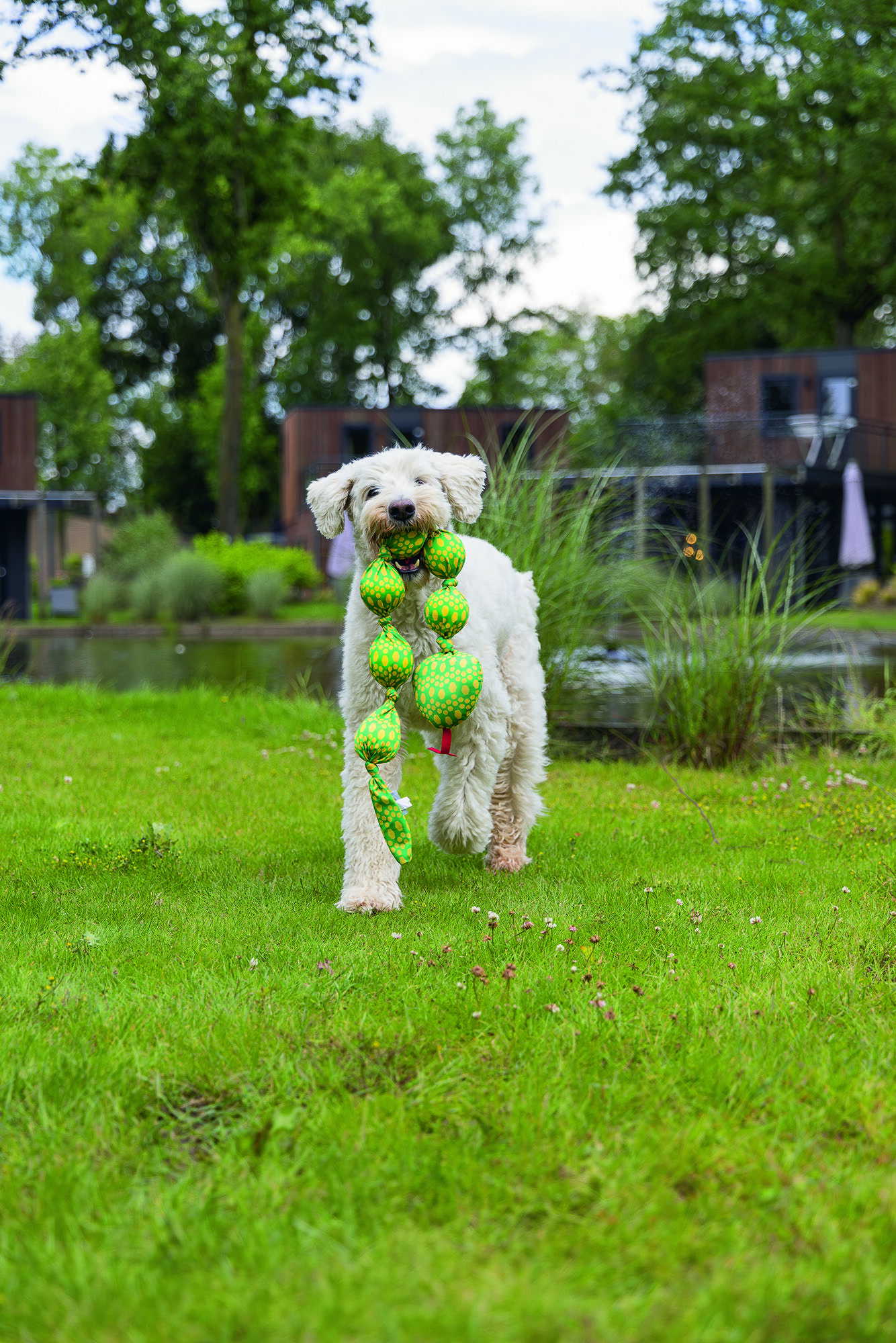 Beeztees Slang Ballo - Apporteerspeelgoed Hond - Groen - 6.5x10x80 cm