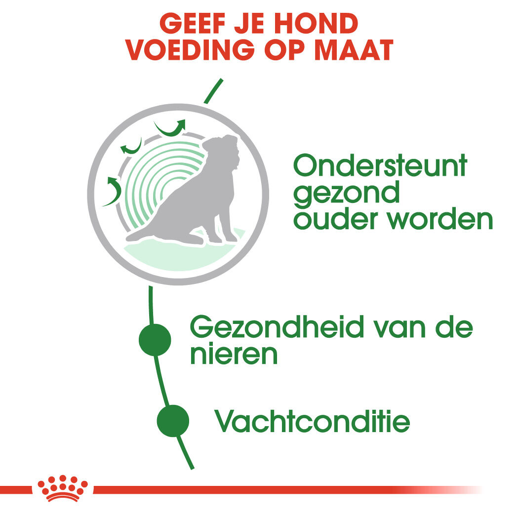 Royal Canin Mini Ageing - Hondenvoer - 1020 - gevogelte