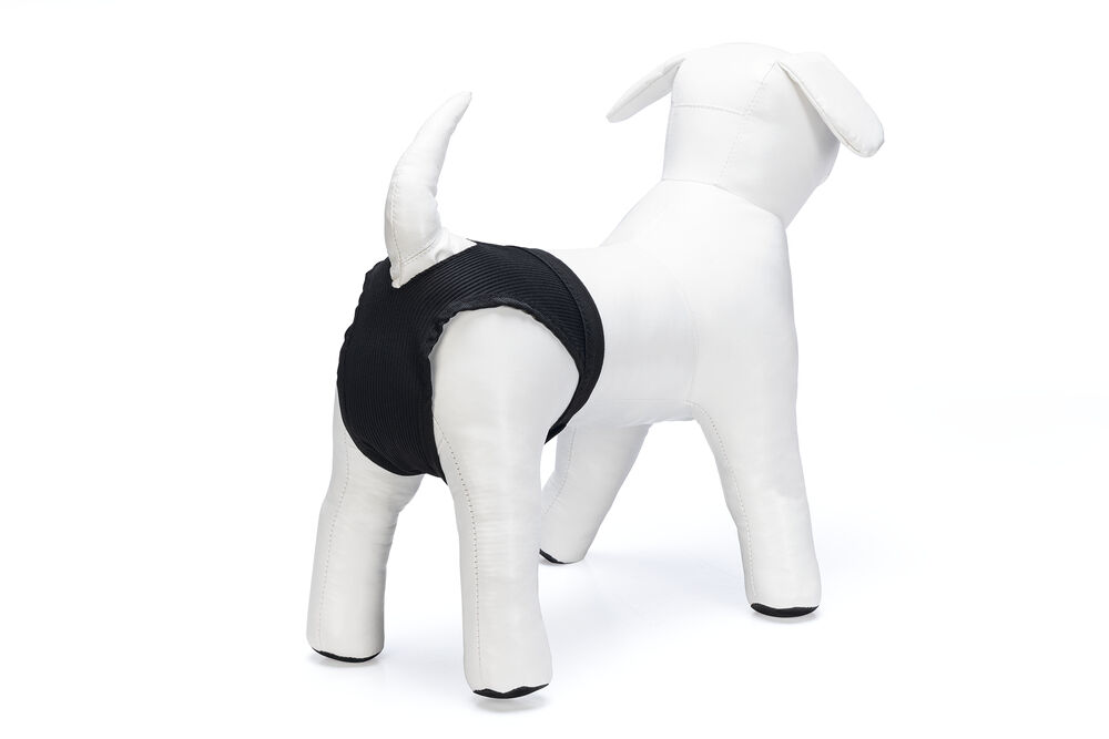 Beeztees - Loopsheidbroekje - Hond - 23.50 cm - Zwart - 11.00 cm - L - 1.50 cm