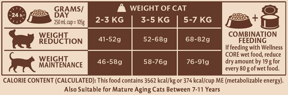 Wellness Core Sterilised Ocean Adult - Kattenvoer - Zalm - 4 kg