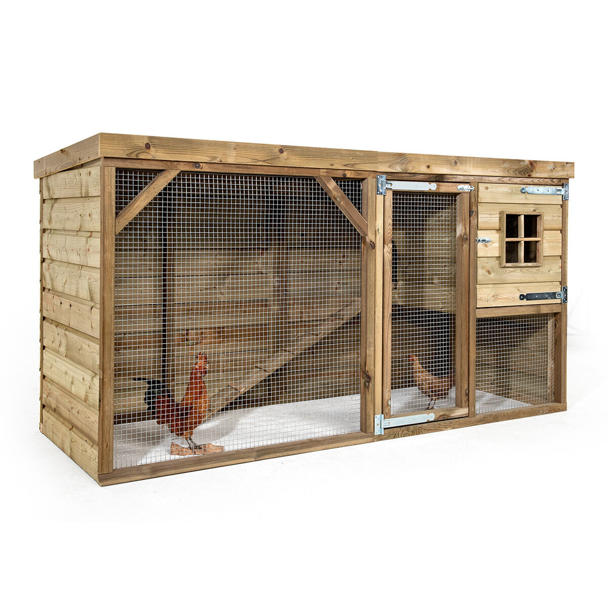 Glorenza  Daisy - Kippenhok