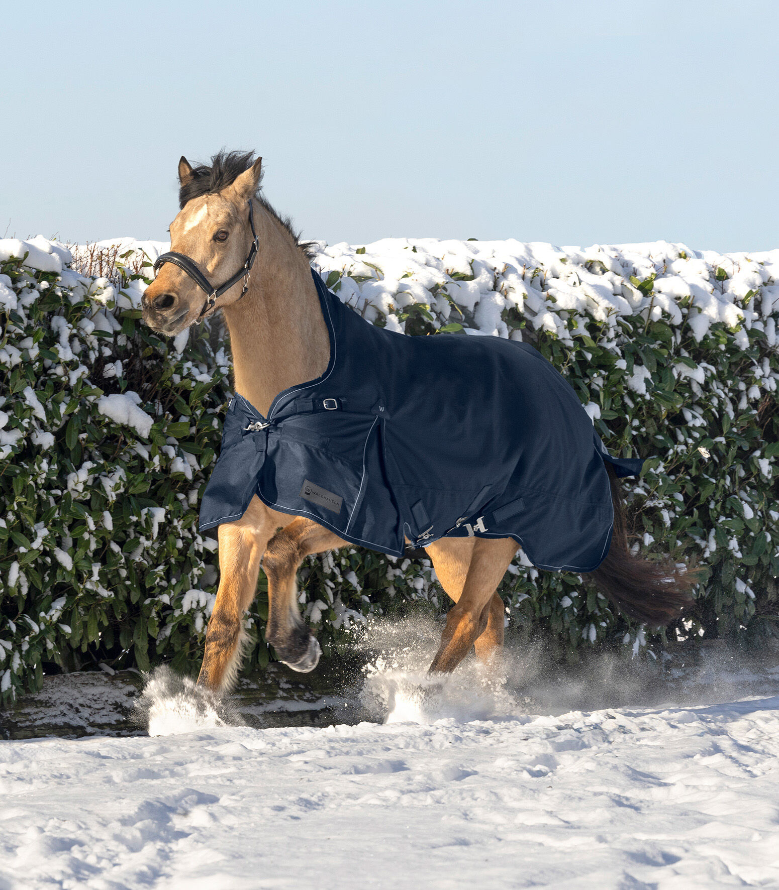 Waldhausen Scandic Hoge nek 200 gr - Winterdeken - Paardendeken - 1.00 cm - Blauw - 1.00 cm - 125/175 - 1.00 cm