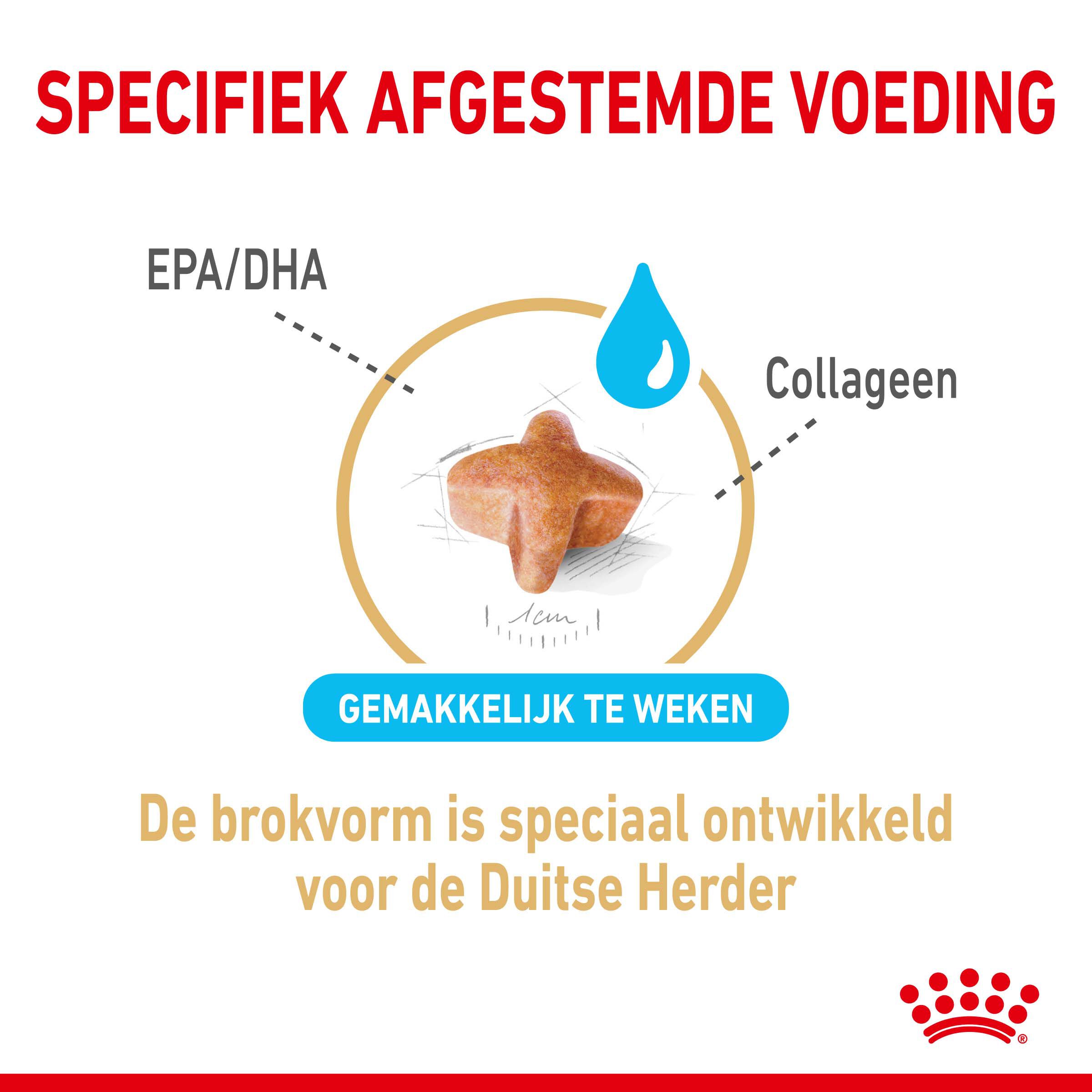 ROYAL CANIN® Adult 5+ Duitse Herder  - Hondenvoer - 12 - gevogelte