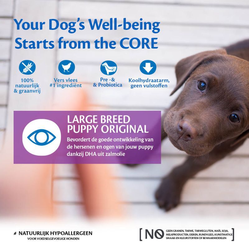 Wellness CORE Puppy Large-Breed - Hondenvoer - 10 - kip