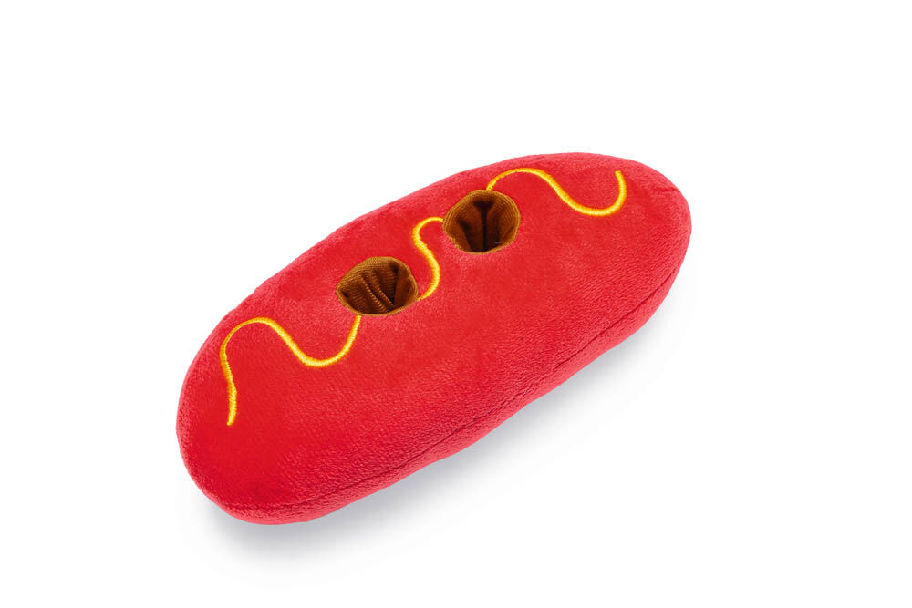 Beeztees Vork en worst - Hondenspeelgoed - Diverse kleuren - 8x18x33 cm