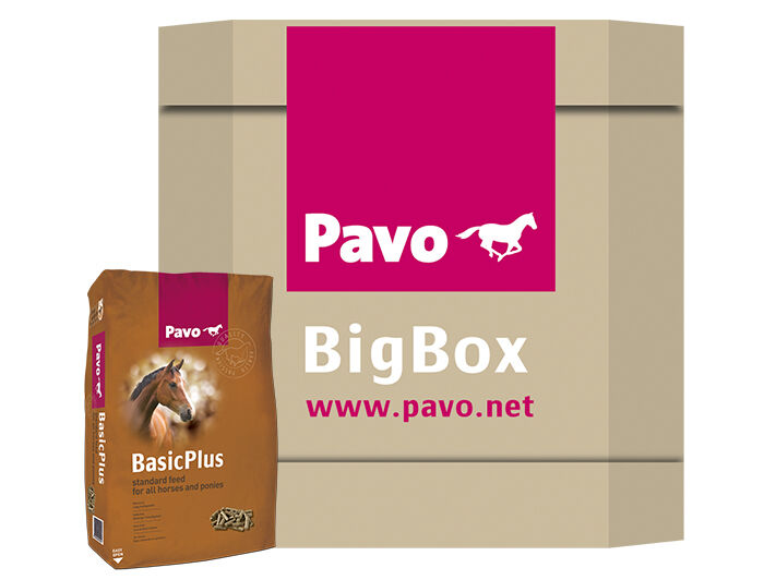Pavo BasicPlus - Basisvoeding - Paardenvoer - 725 - Bigbox Pavo BasicPlus - Basisvoeding - Paardenvoer - 725 - Bigbox