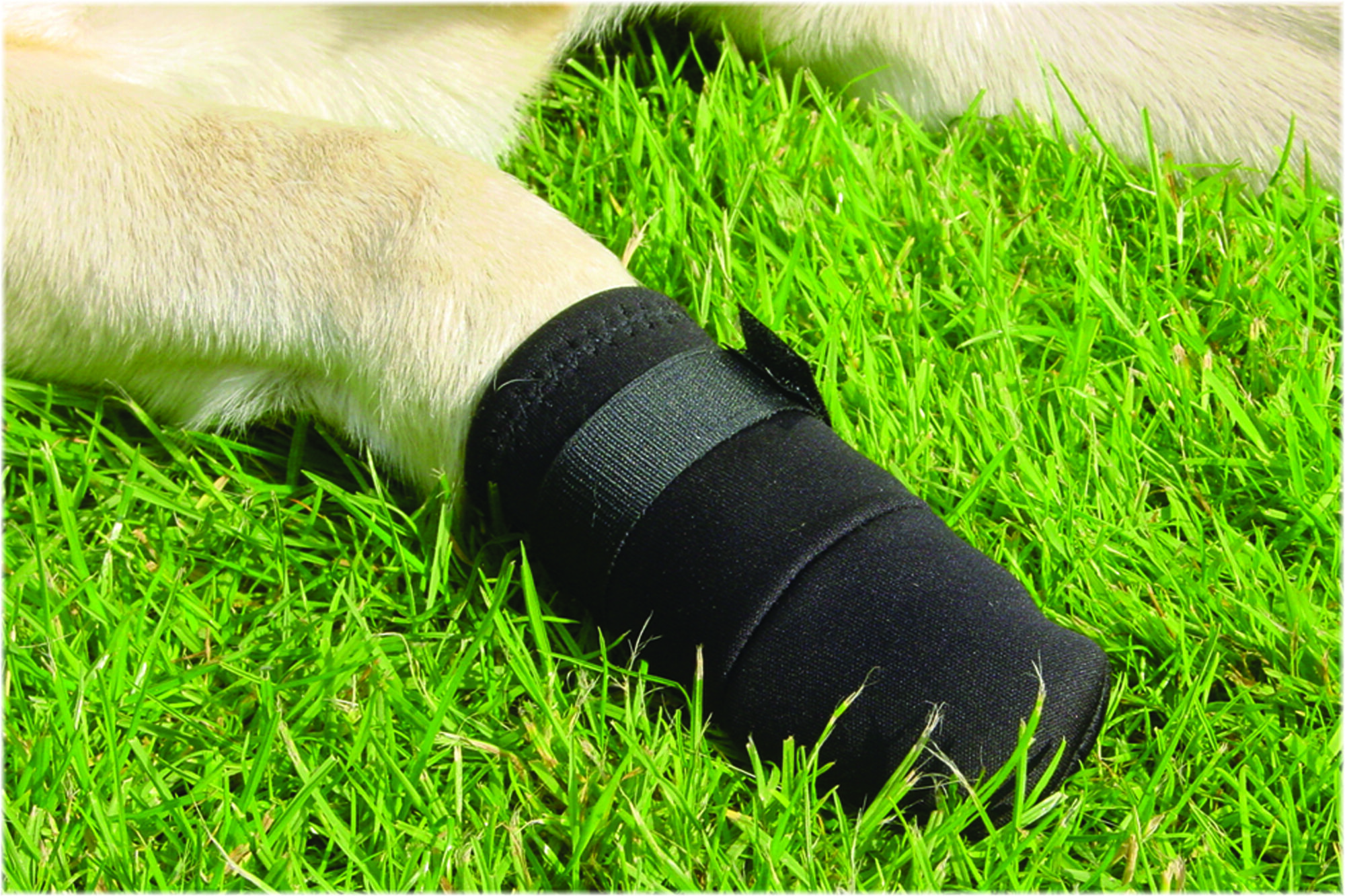 Beeztees - Beschermingsschoen Hond