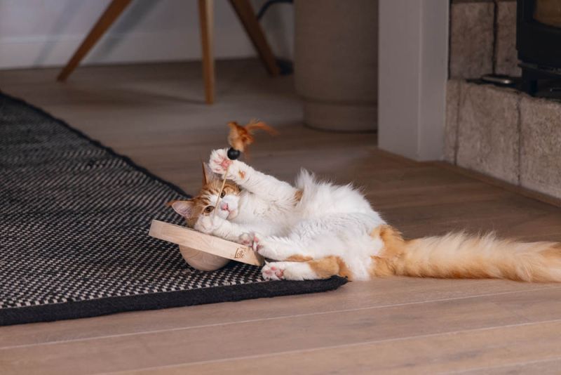 Designed by Lotte Winni - Kattenspeeltje