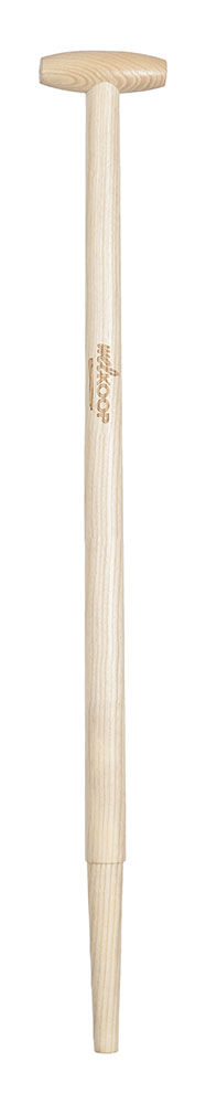 Welkoop - Spearwel - Losse stelen Welkoop - Spearwel - Losse stelen