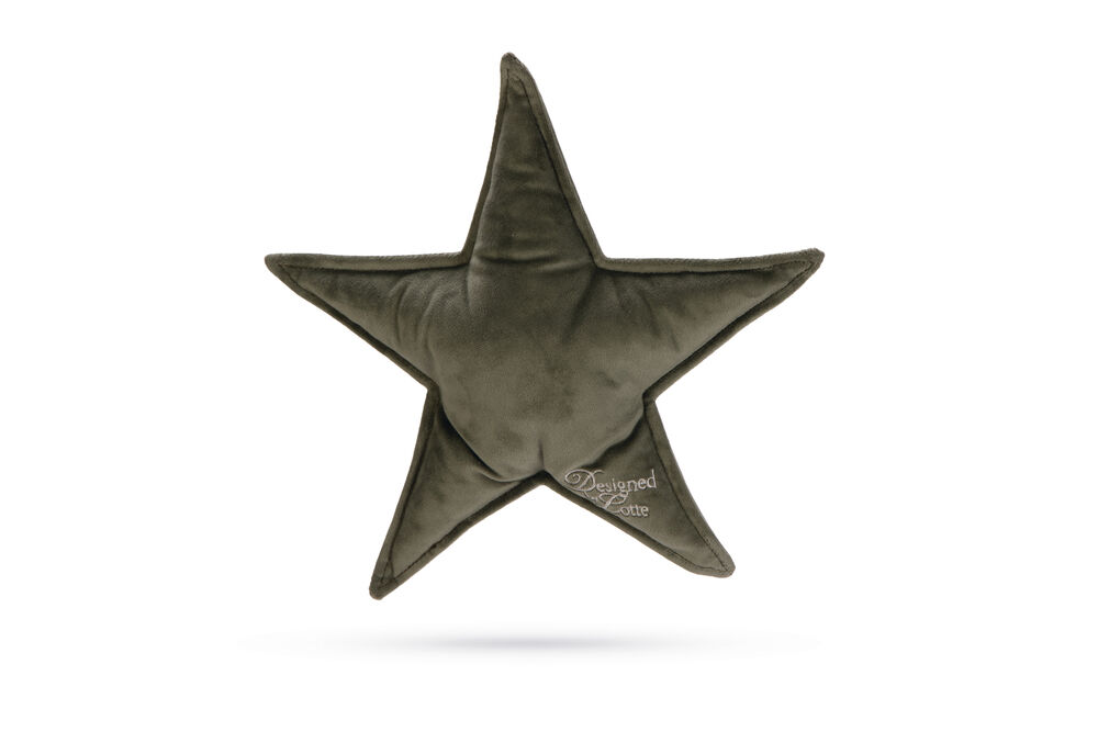 Designed By Lotte Kerstster - Knuffel - Hondenspeelgoed - groen - 29x27x27 cm