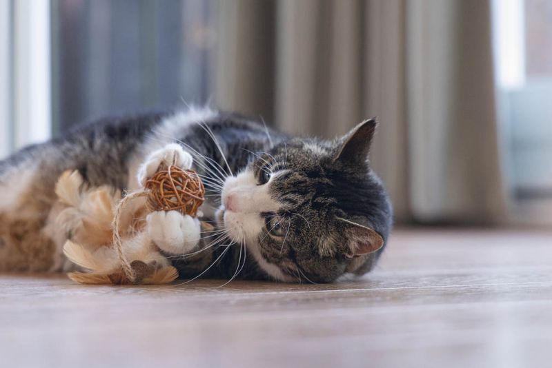 Beeztees Bal Tipy - Kattenspeeltje - Beige