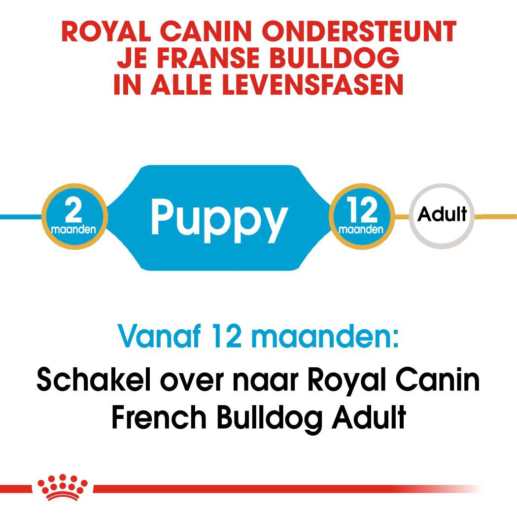 Royal Canin Franse Bulldog Puppy - Hondenvoer - 3 - gevogelte