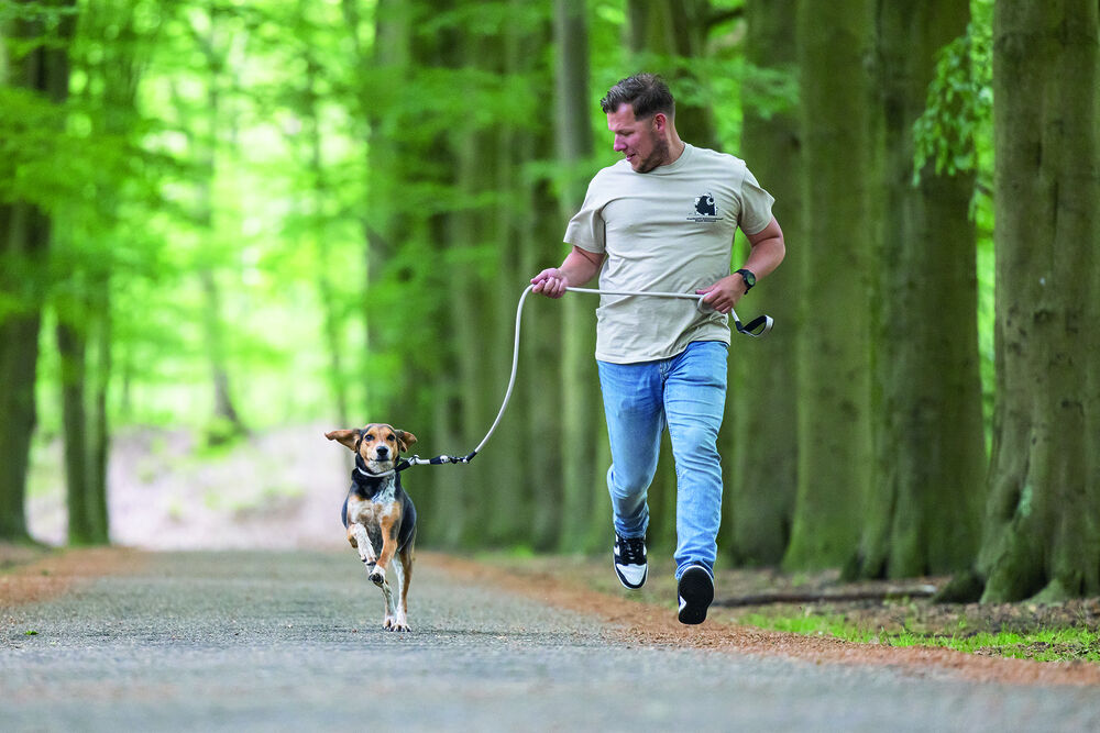 Beeztees Premium Parinca - Hondenriem - Blauw - 1 cm - 120 cm