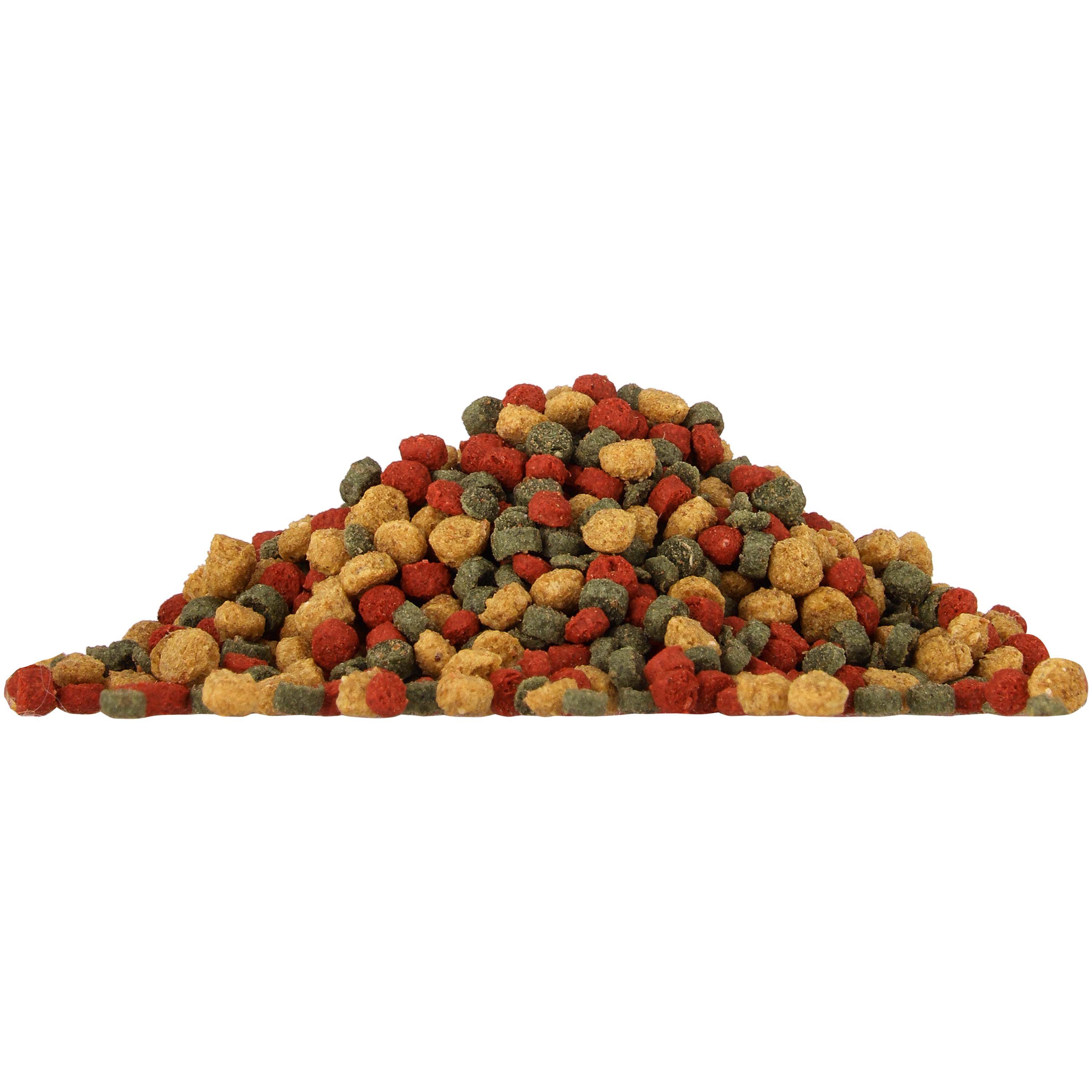 Welkoop Goudviskorrels - Aquariumvissenvoer - 100