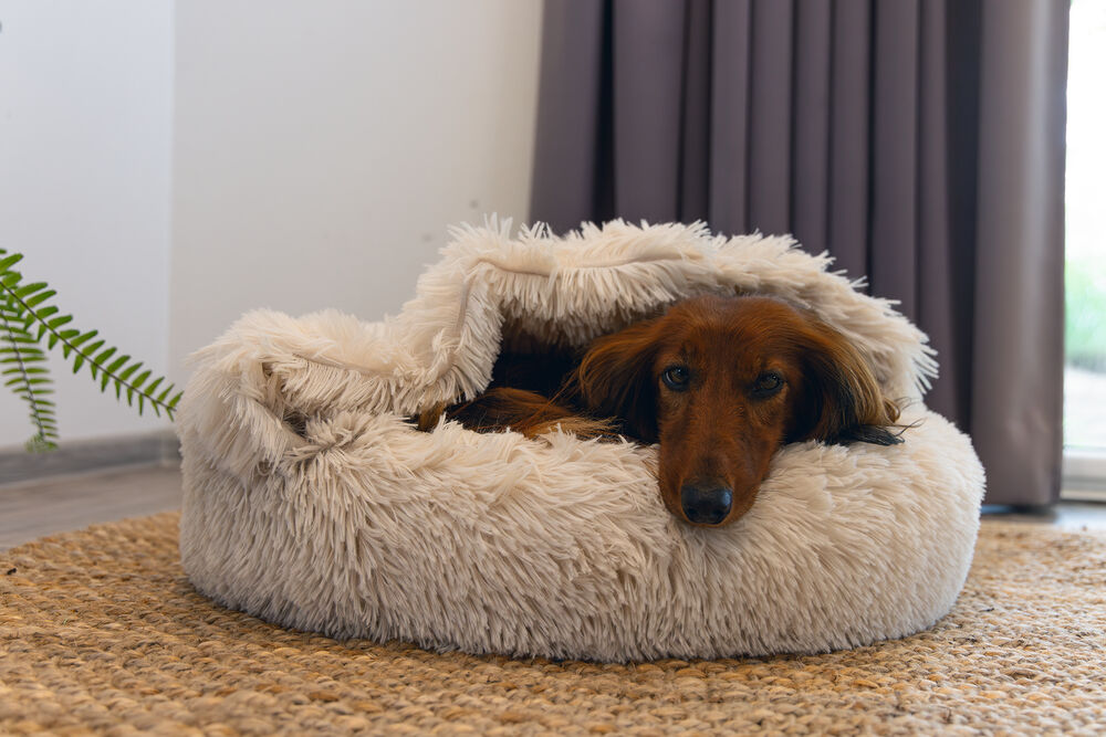 Beeztees Yala - Hondenmand - Beige - 20x50x50 cm - Klein