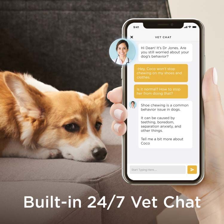 Petcube Bites 2 Lite - Pet Camera - Met Nachtvisie - Met Snack Functie