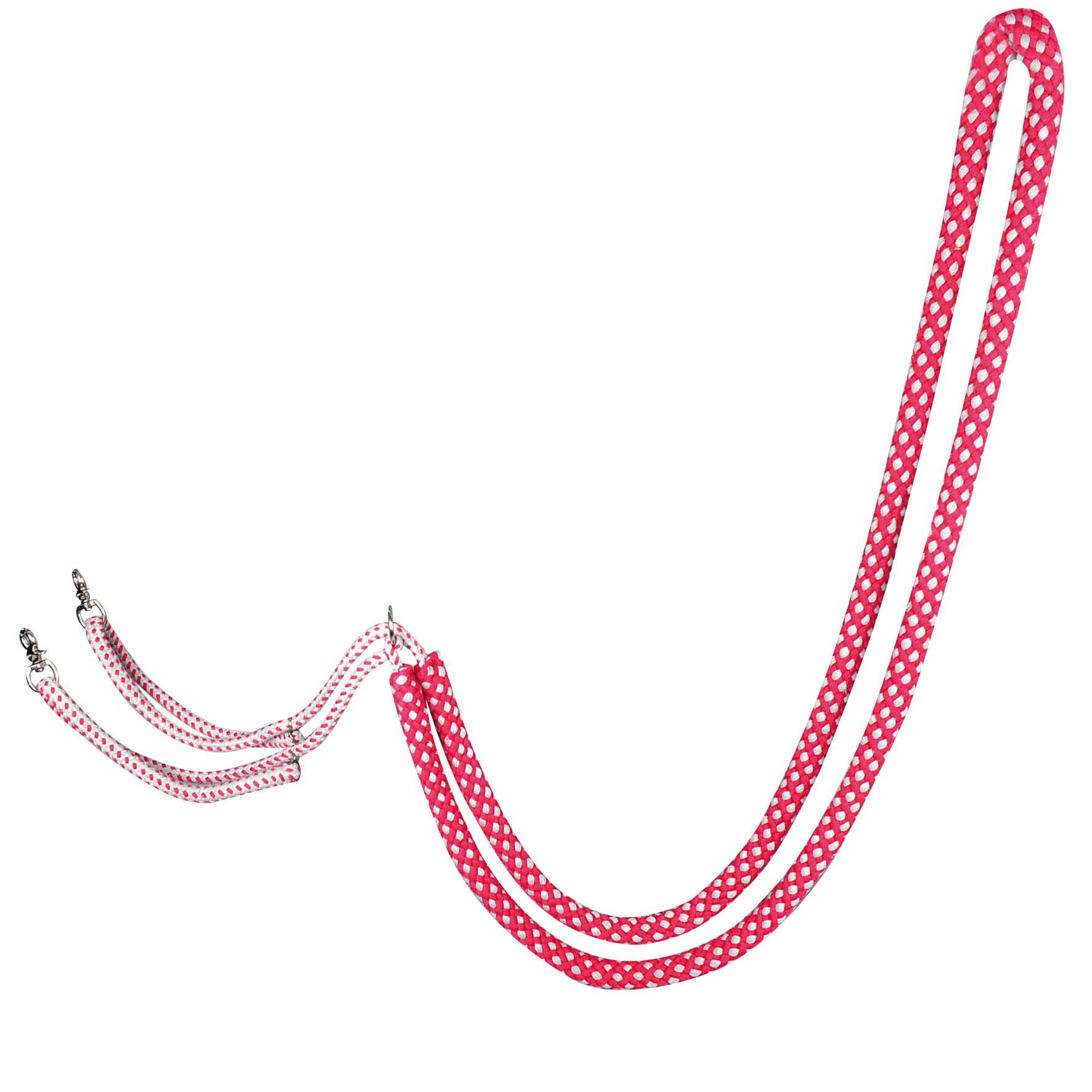 Waldhausen  - Longeerhulp Waldhausen  - Longeerhulp