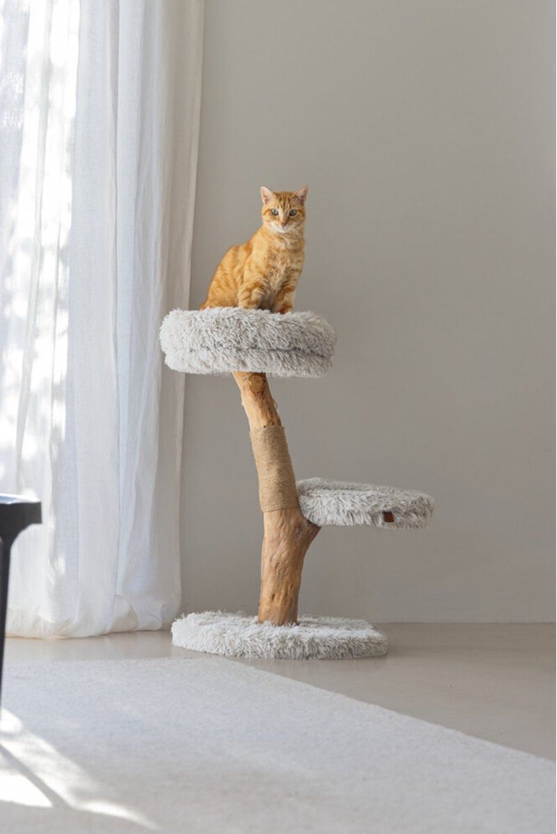 Designed by Lotte Zora - Krabpaal - Grijs - 72x50x50 cm