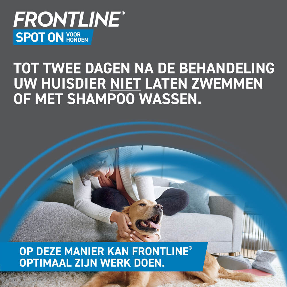 Frontline Spot On L - Anti vlooien en teken Hond - 3 pipetten - 11.00 cm - 14.80 cm - 1.80 cm